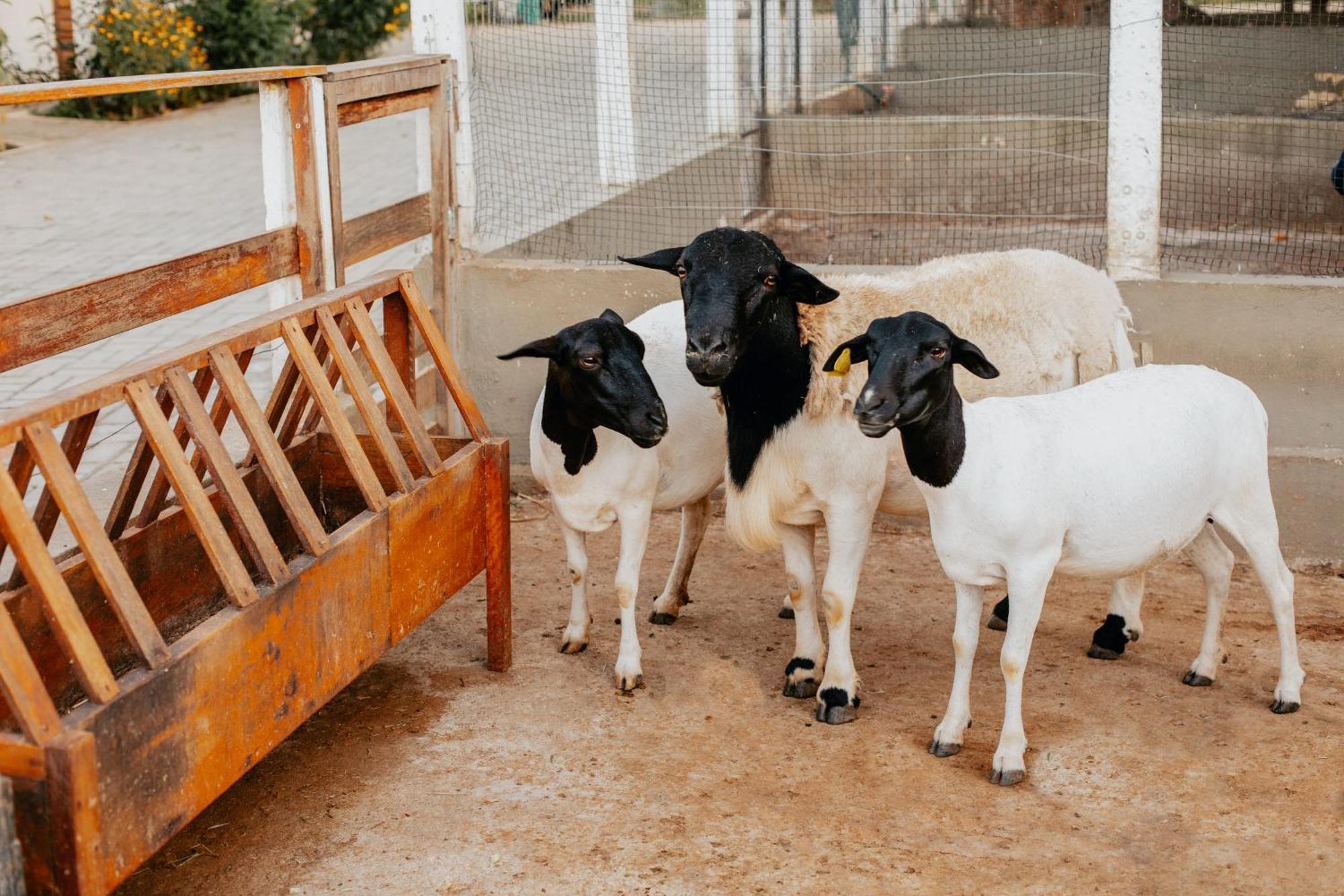 فندق Fazenda Sol Nascente Paudalho المظهر الخارجي الصورة