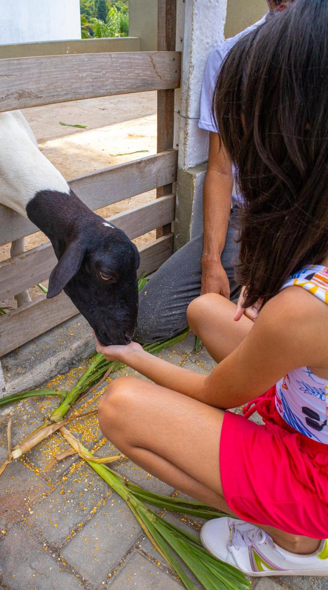 فندق Fazenda Sol Nascente Paudalho المظهر الخارجي الصورة