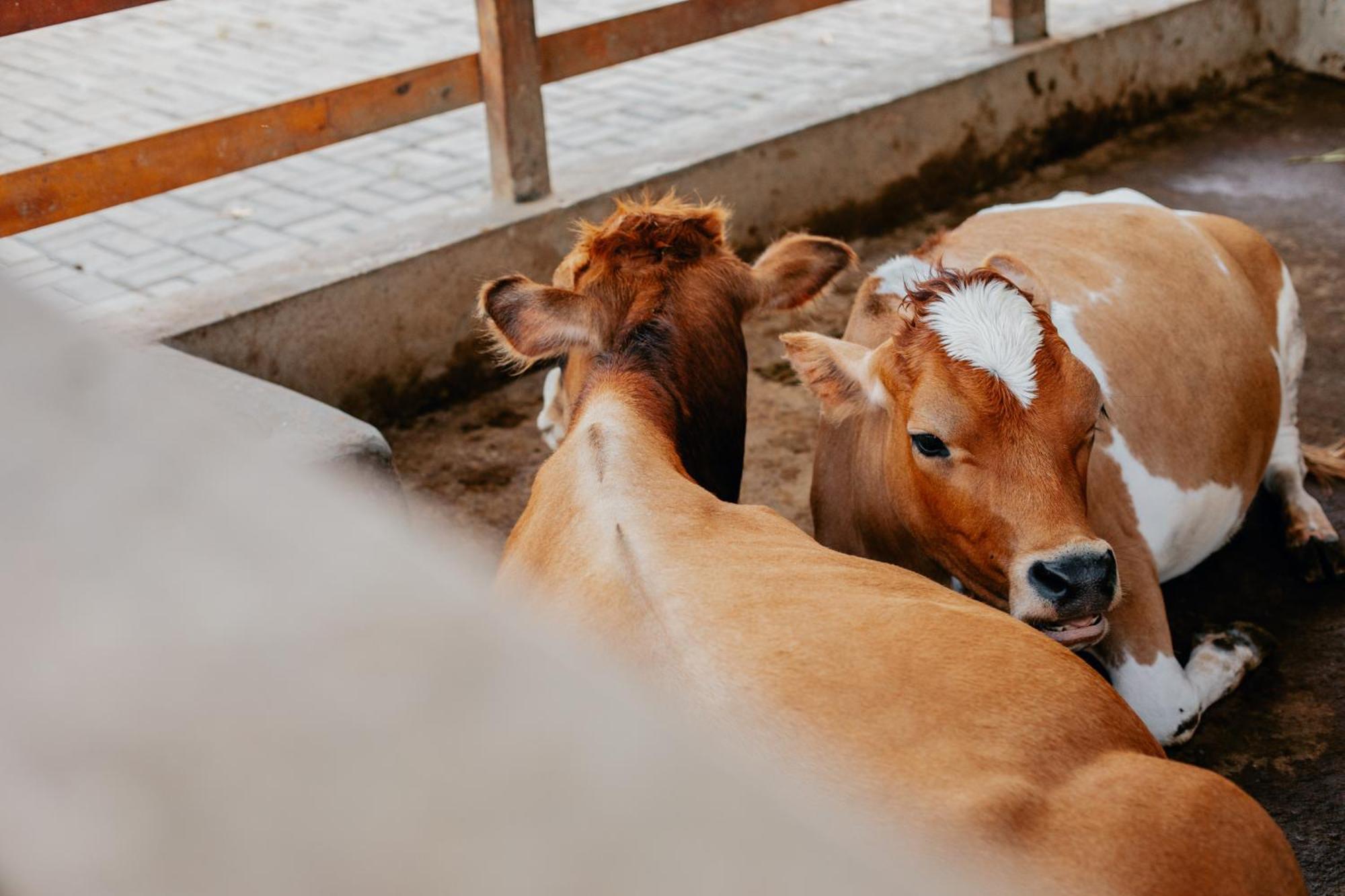 فندق Fazenda Sol Nascente Paudalho المظهر الخارجي الصورة
